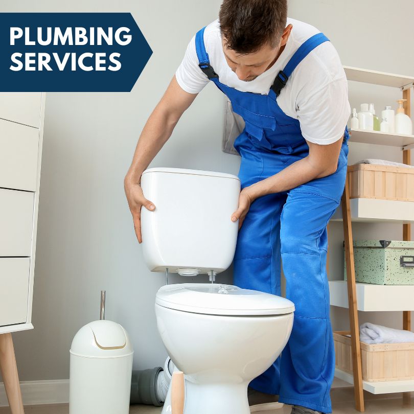 Plumbing Company in Fults, IL